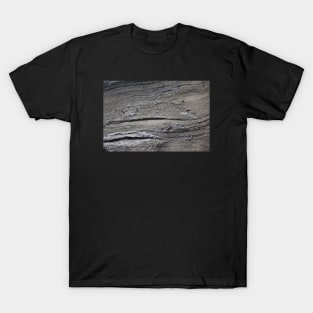 Seaside rock formation T-Shirt